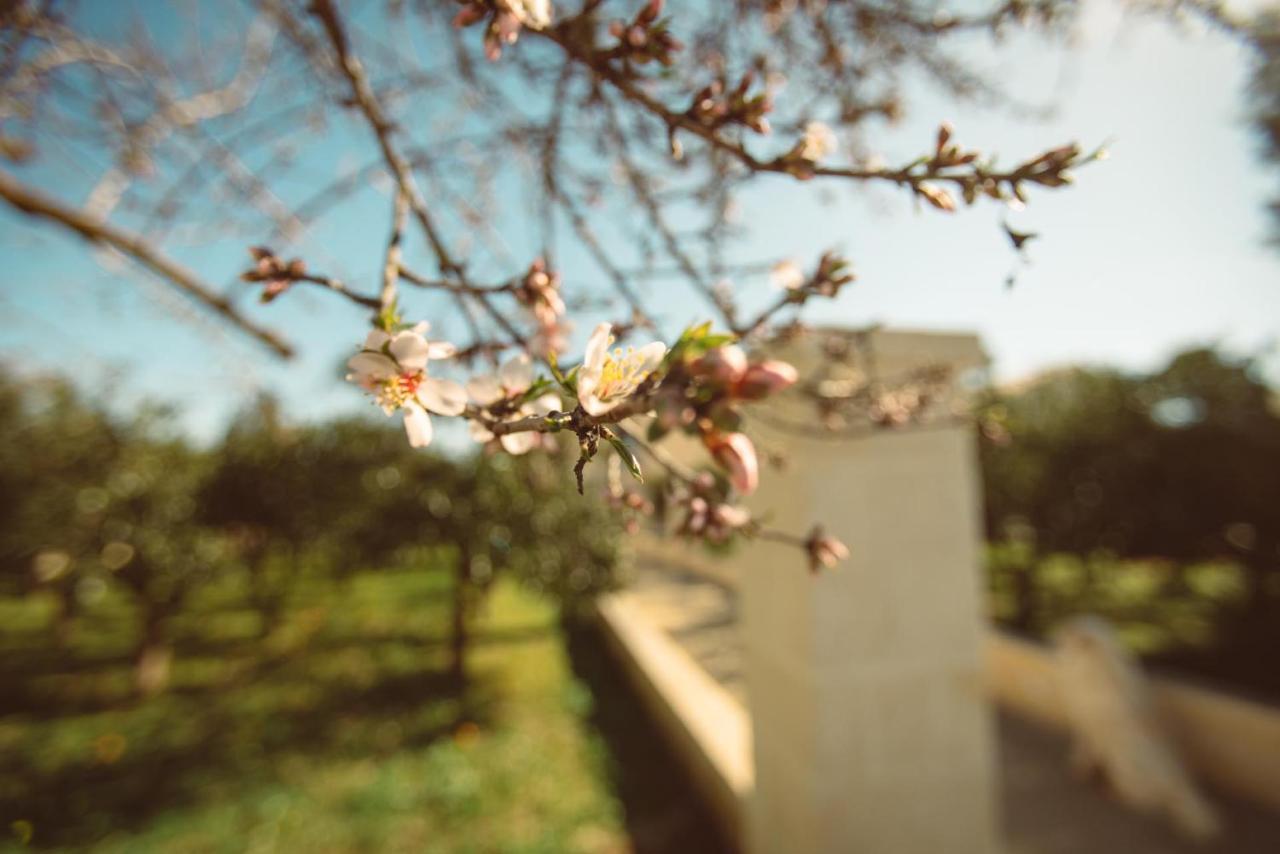 Masseria Gagliardi Taranto Exteriér fotografie